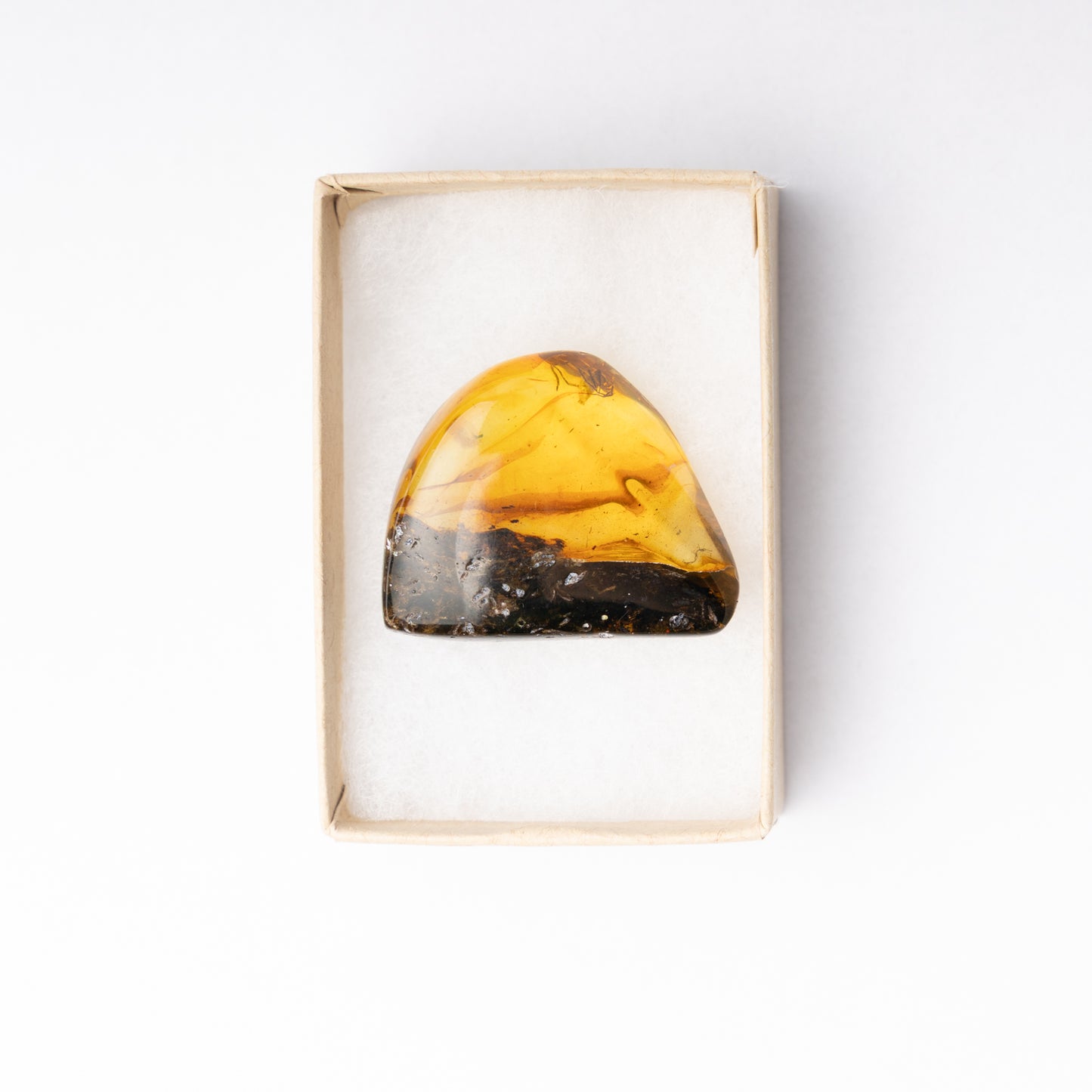 Baltic Amber with Spider Inclusion