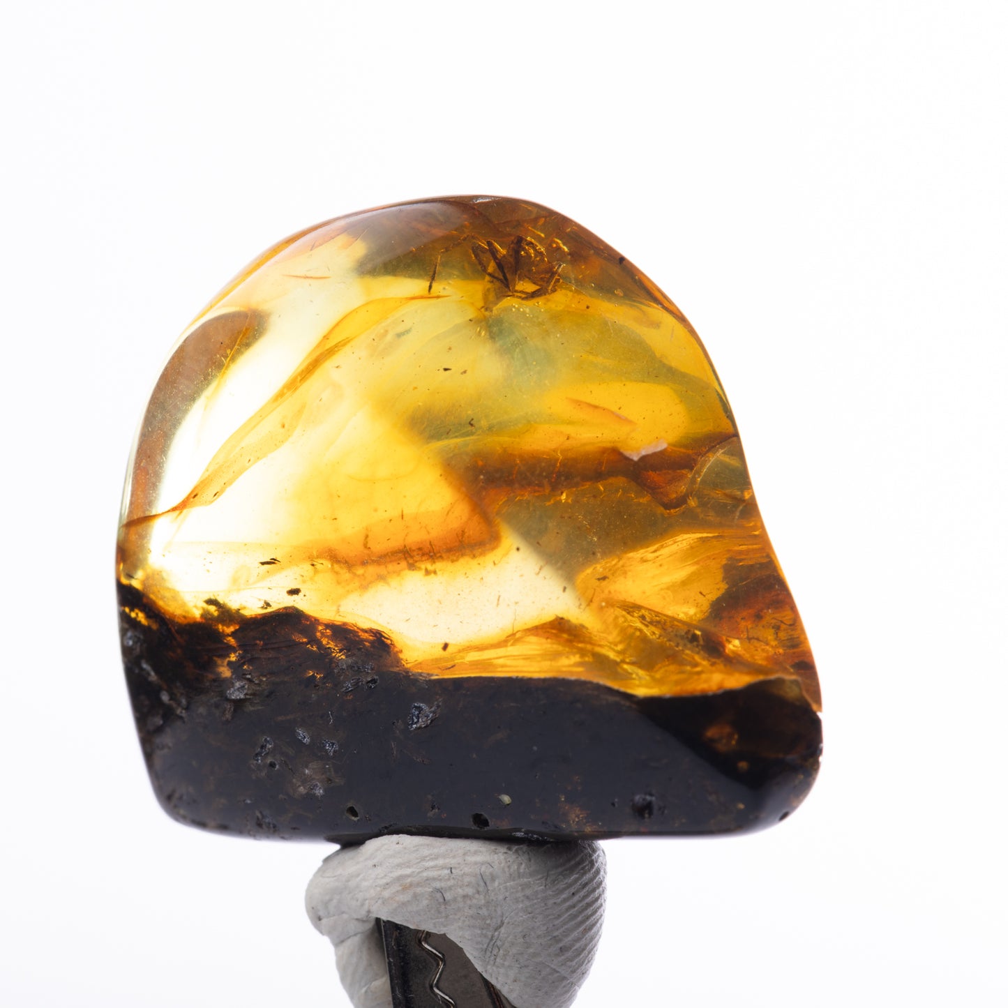 Baltic Amber with Spider Inclusion