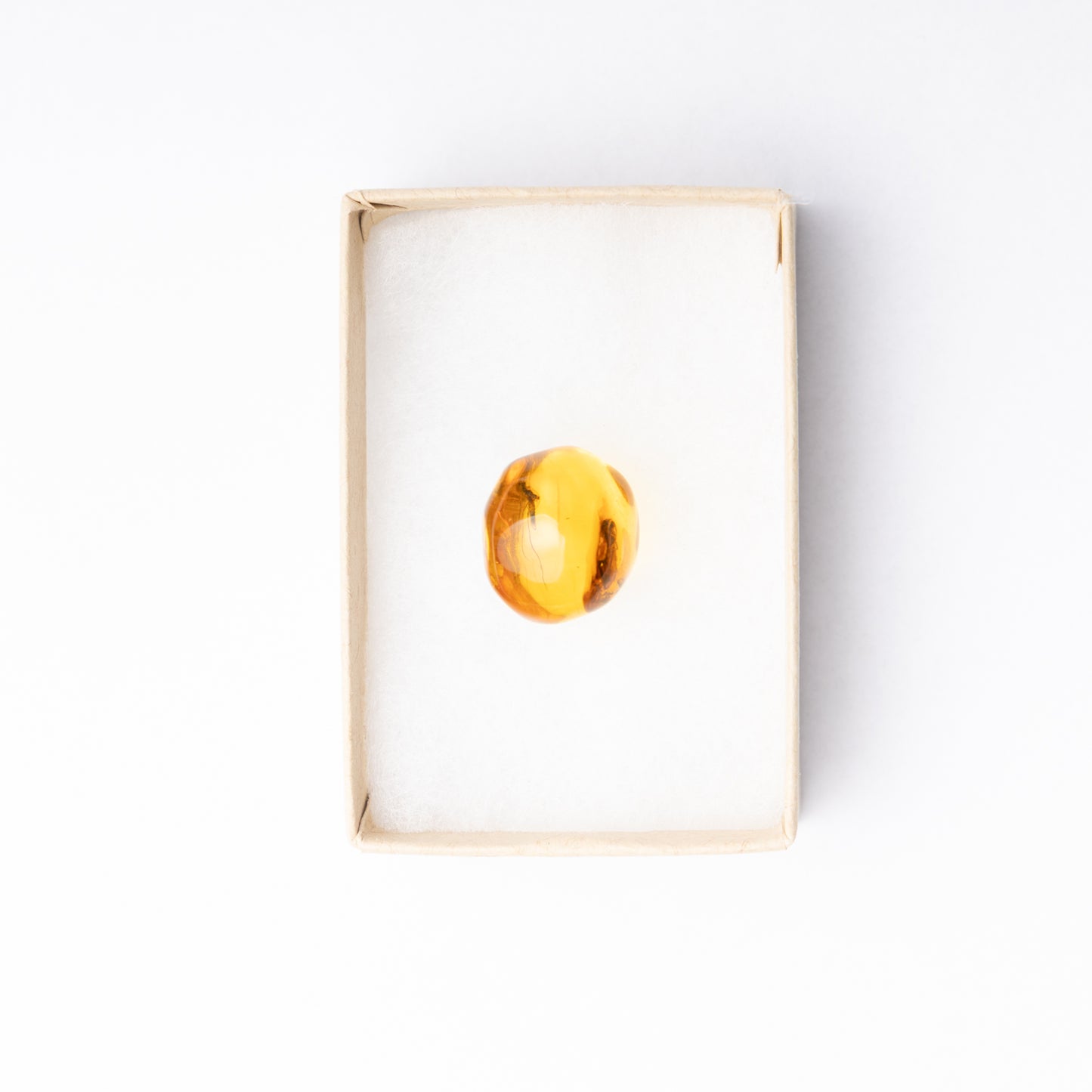 Baltic Amber with Dark Winged Fungus Gnat and Insect Inclusion
