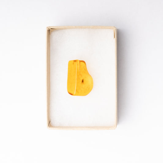 Baltic Amber with Insect Inclusion