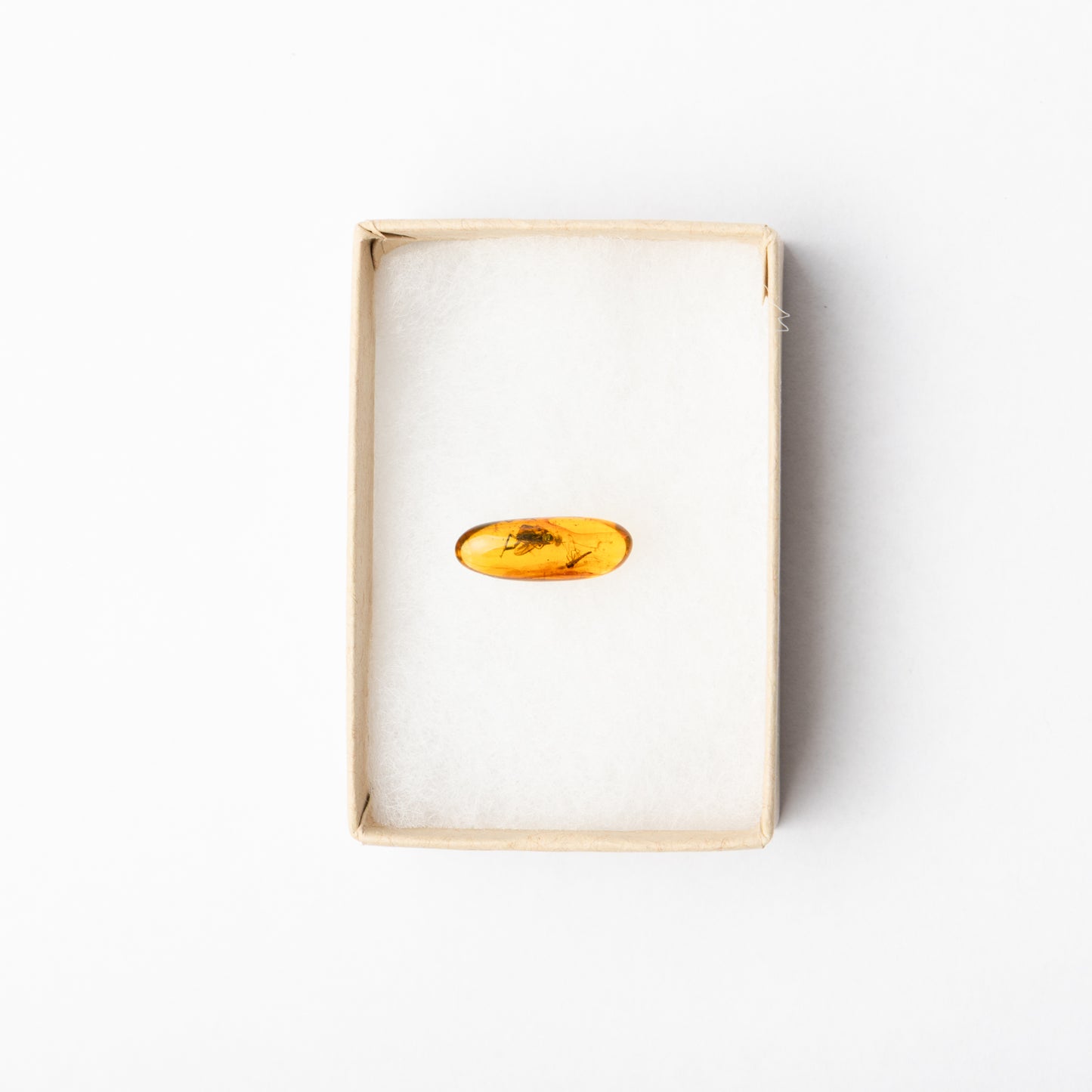 Baltic Amber with Insect Inclusion