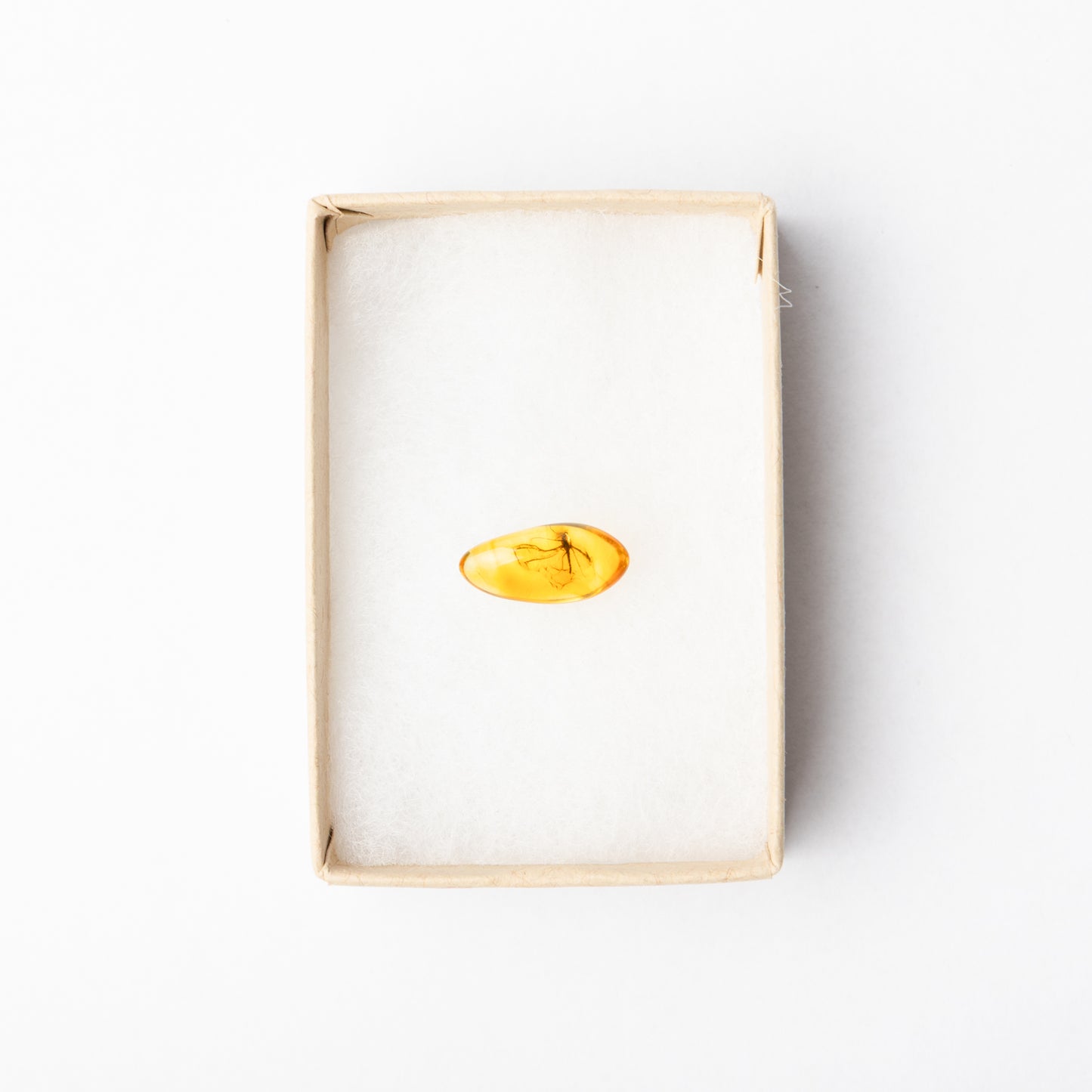 Baltic Amber with Insect Inclusion