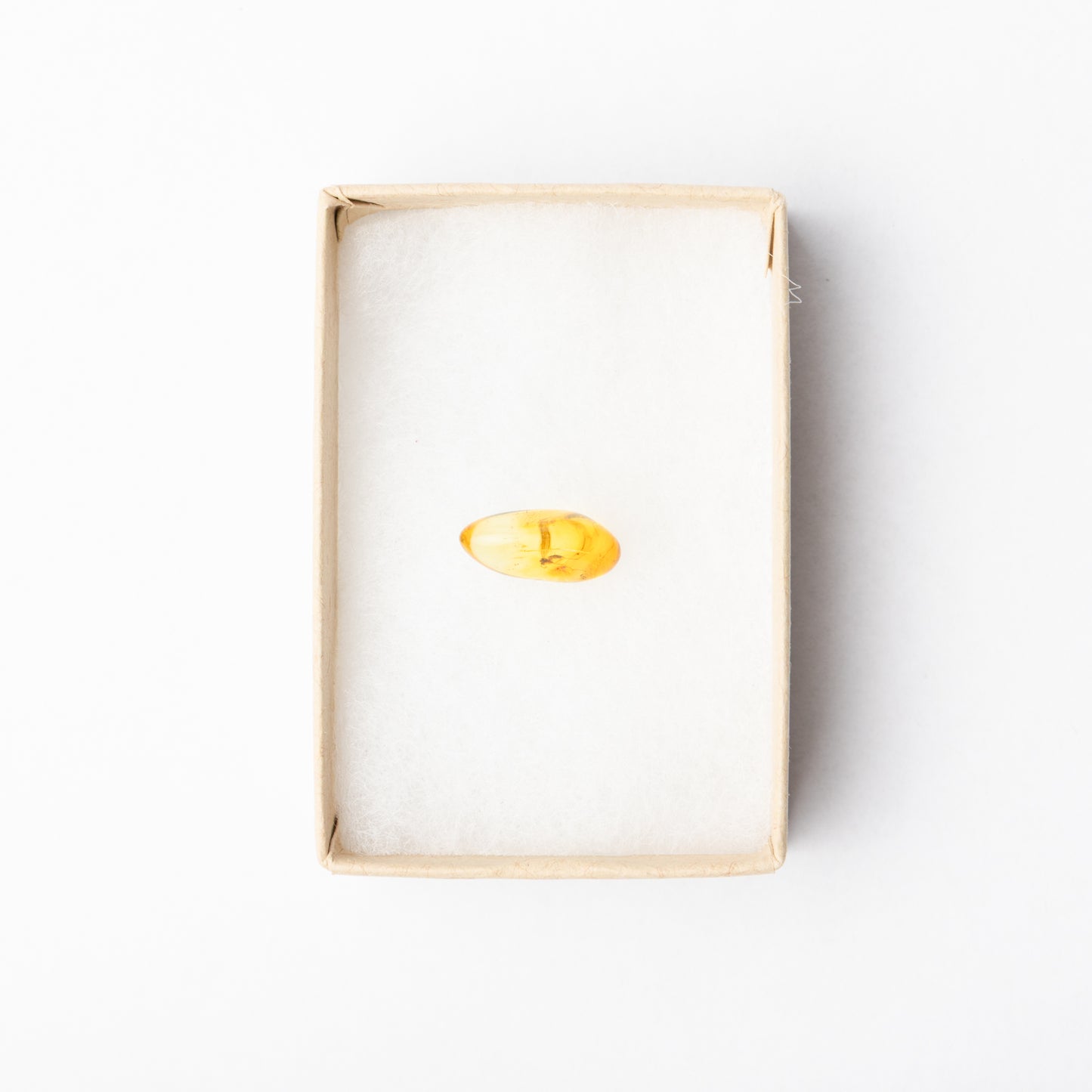 Baltic Amber with Insect Inclusion