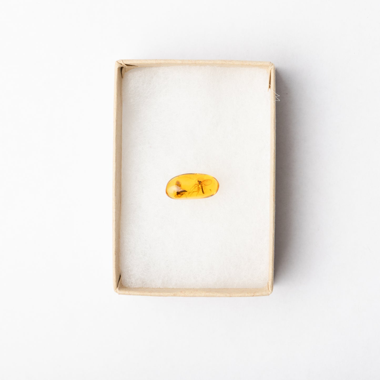 Baltic Amber with Insect Inclusion