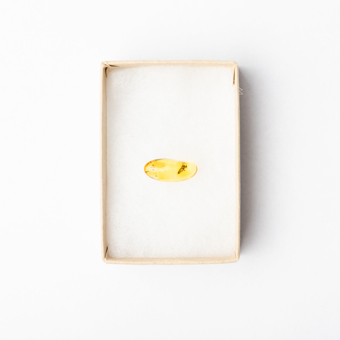 Baltic Amber with Insect Inclusion