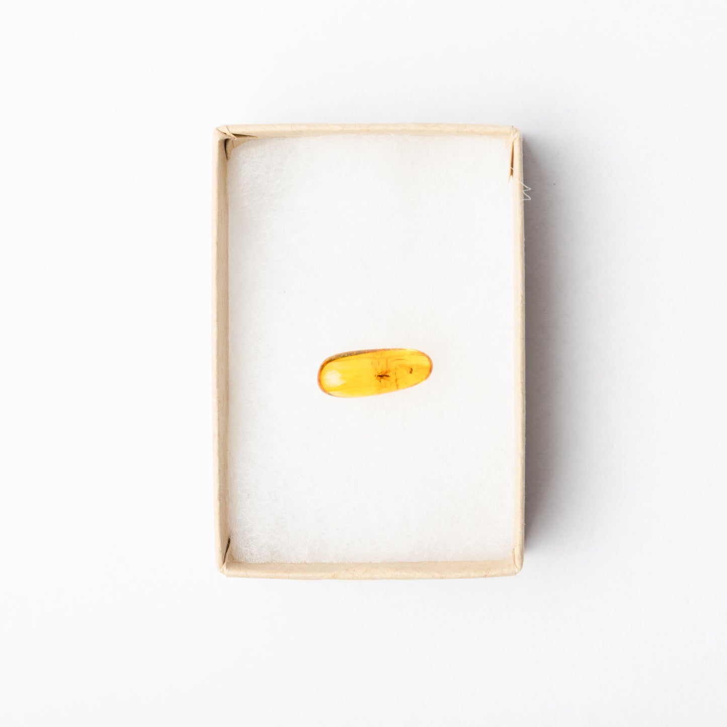 Baltic Amber with Insect Inclusion