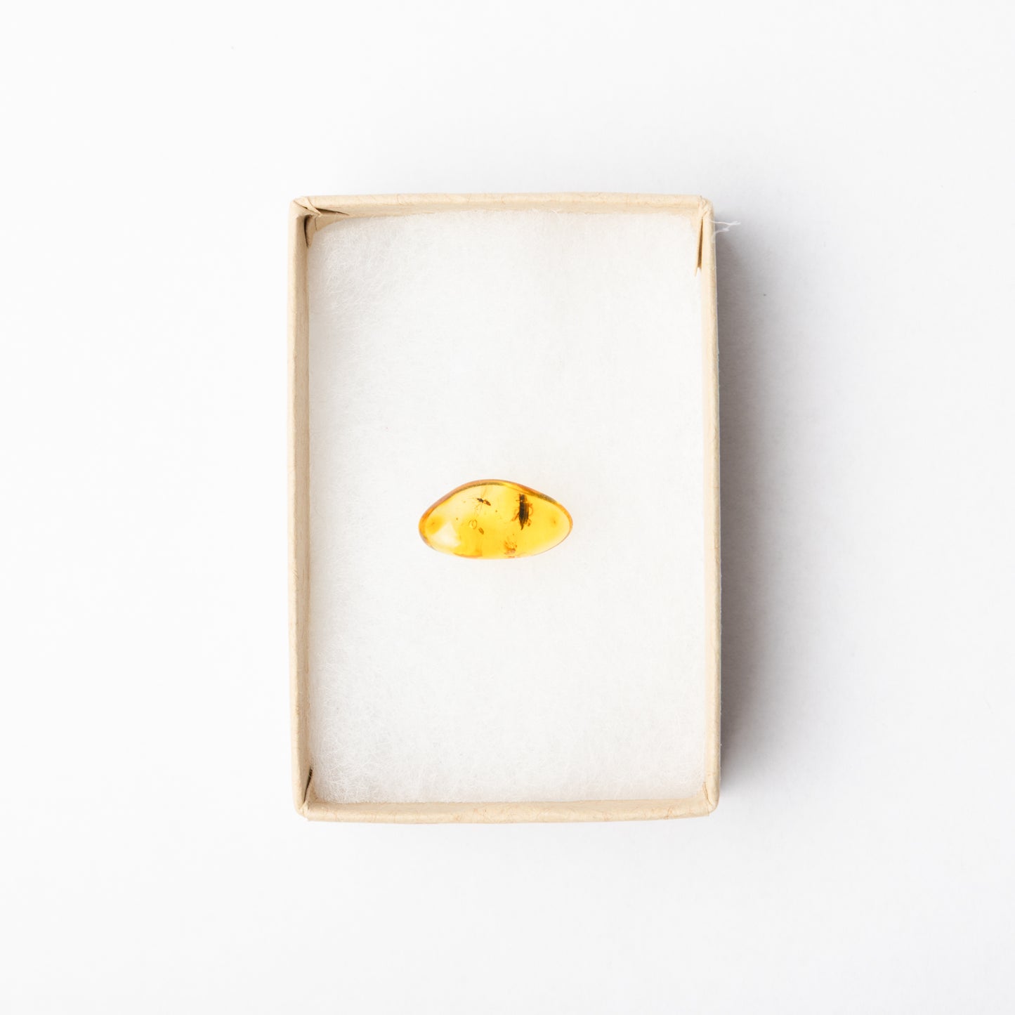 Baltic Amber with Insect Inclusion