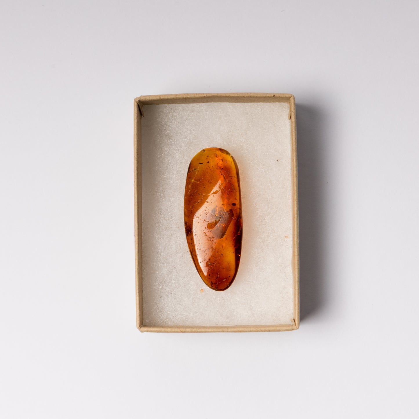 Baltic Amber with Winged Insect Inclusion