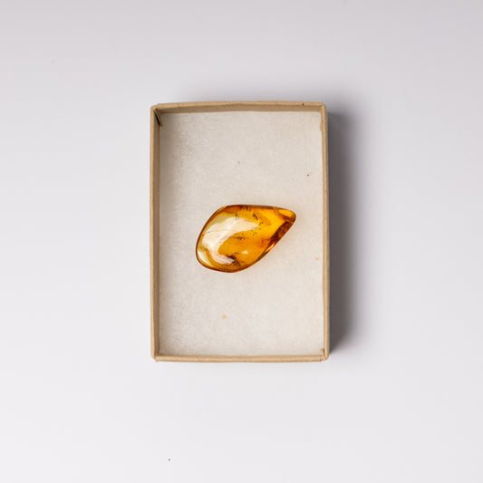 Baltic Amber with Spider Inclusion