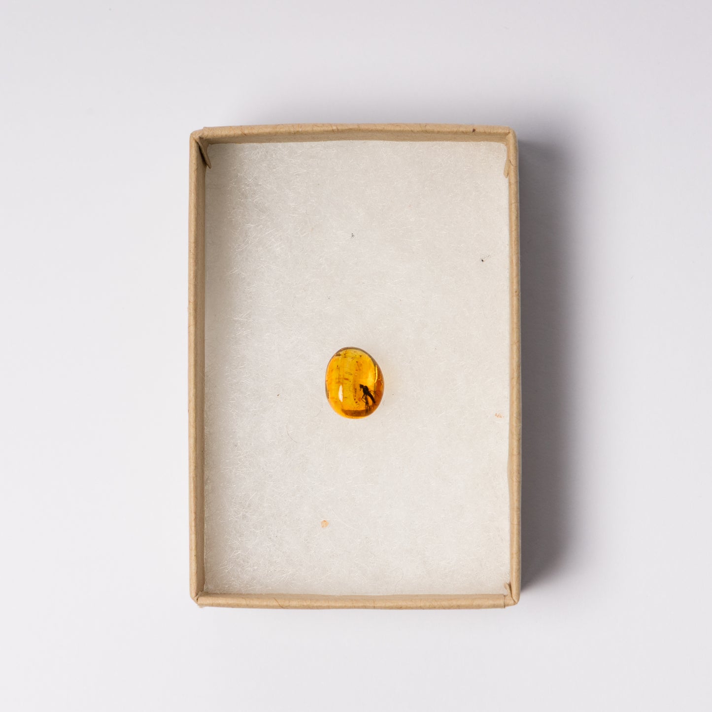 Baltic Amber with Insect Inclusion