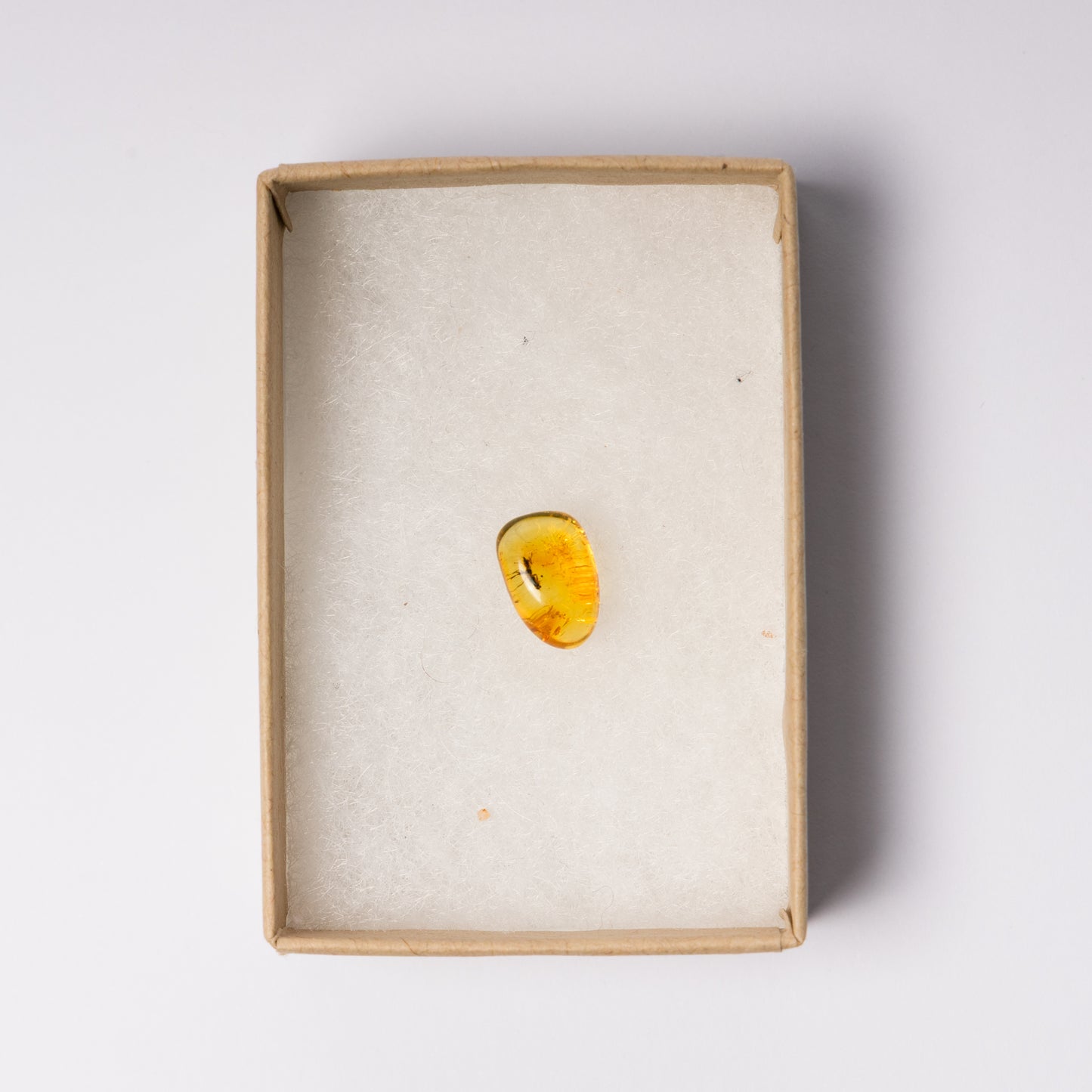 Baltic Amber with Insect Inclusion