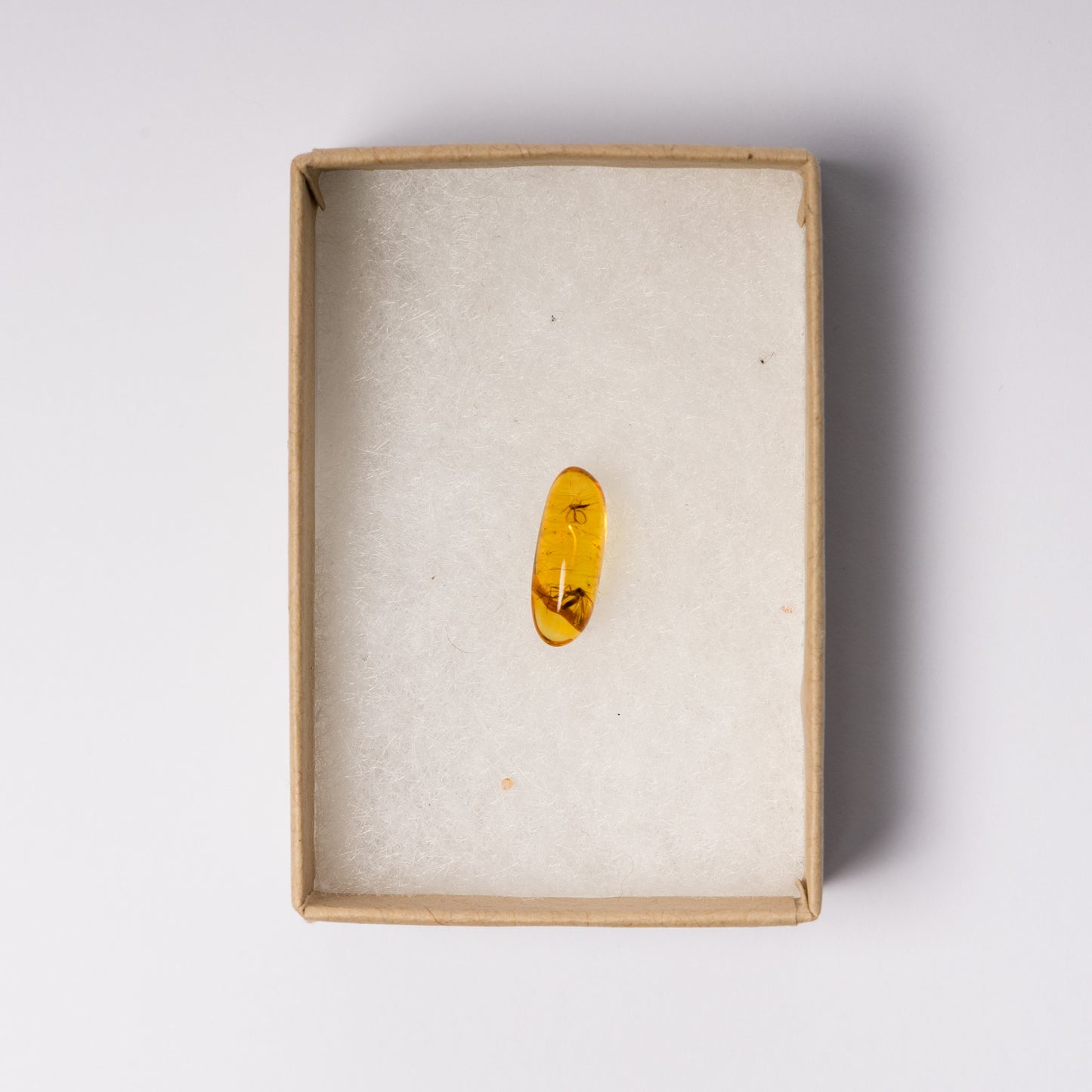 Baltic Amber with Insect Inclusion