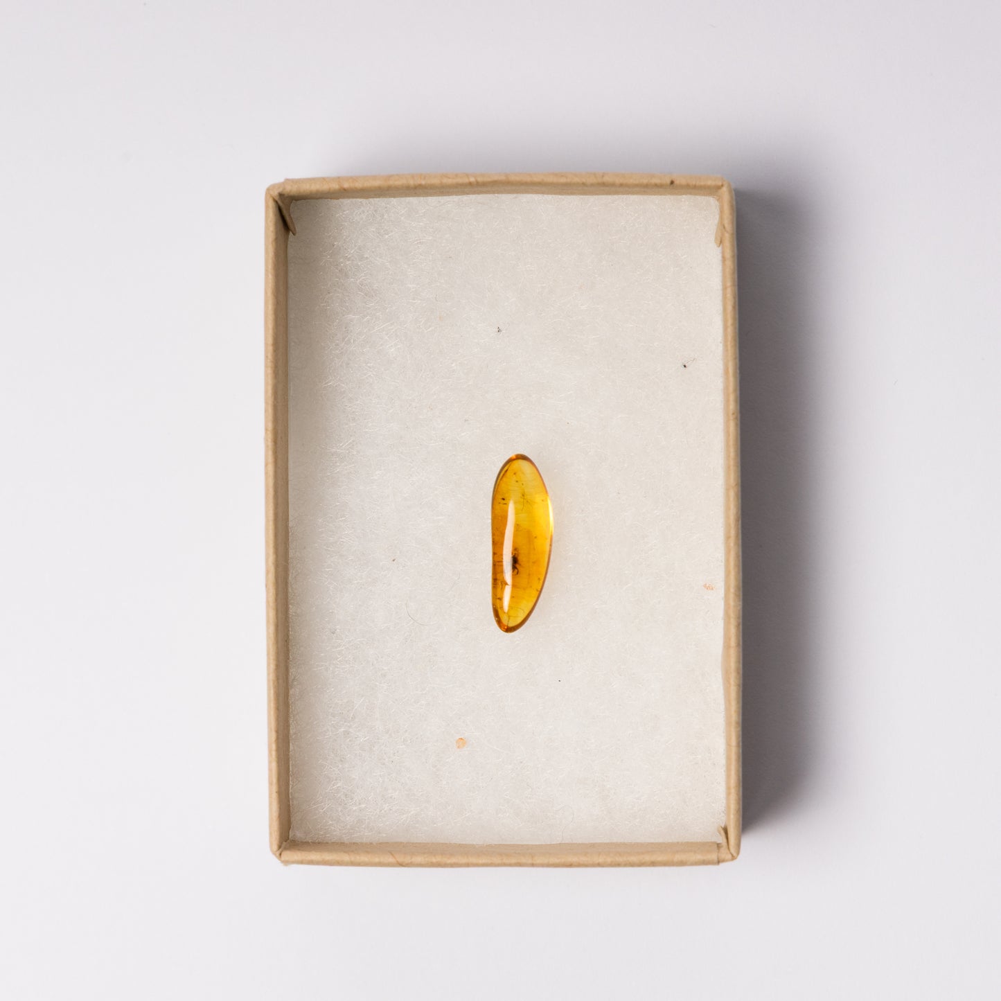 Baltic Amber with Insect Inclusion