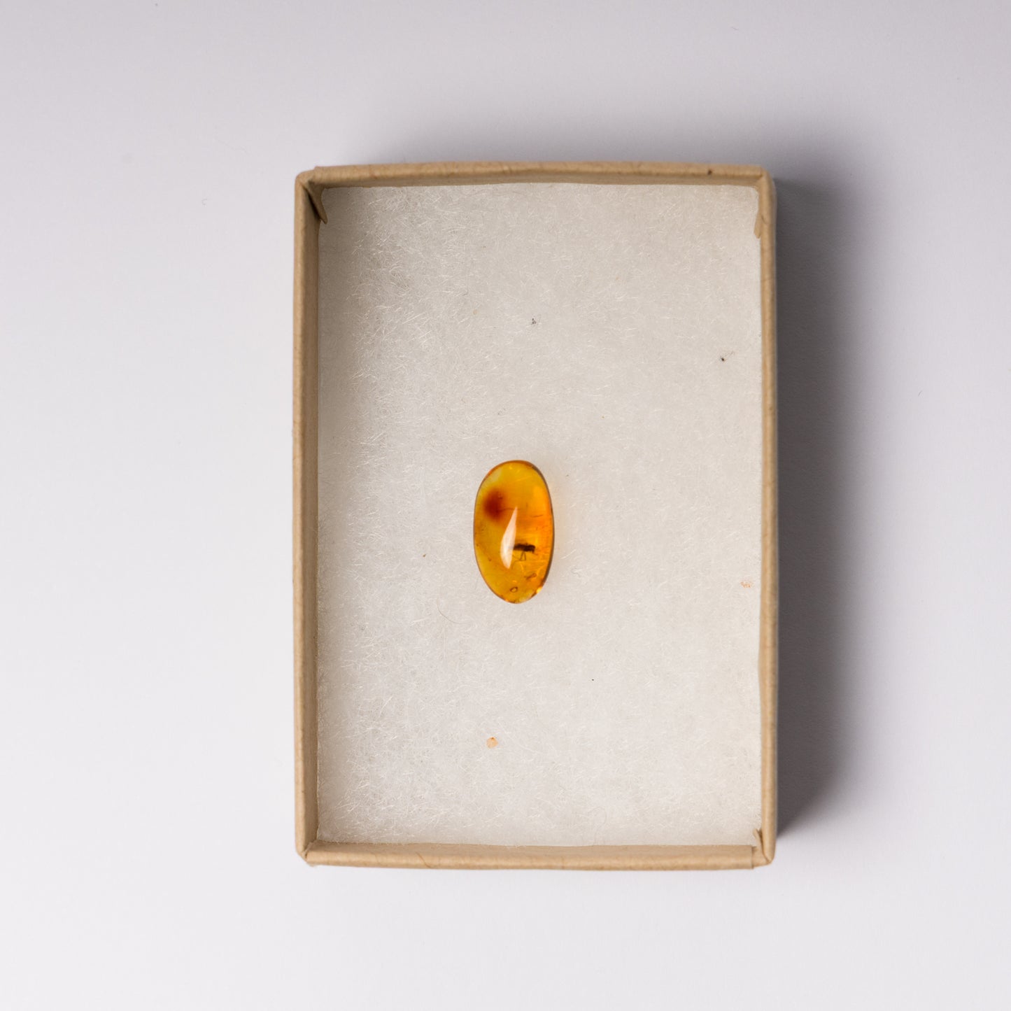 Baltic Amber with Insect Inclusion