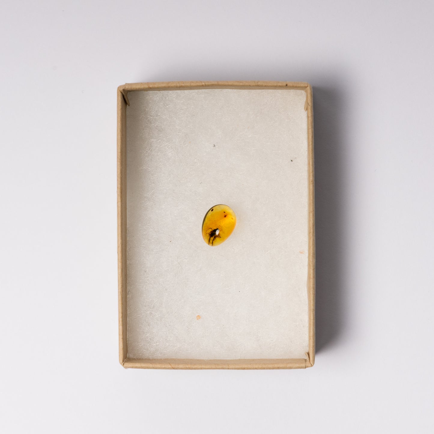 Baltic Amber with Insect Inclusion