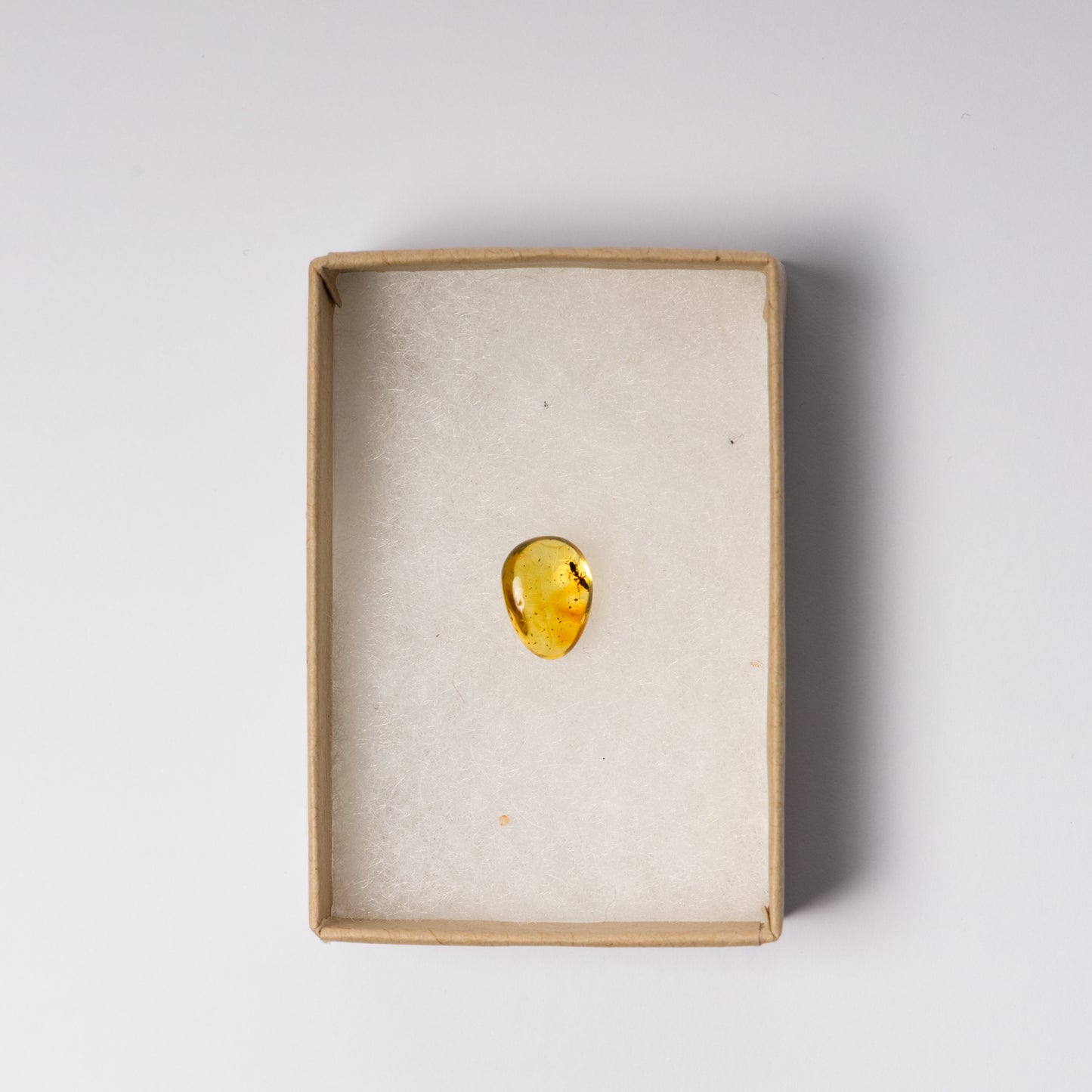 Baltic Amber with Insect Inclusion