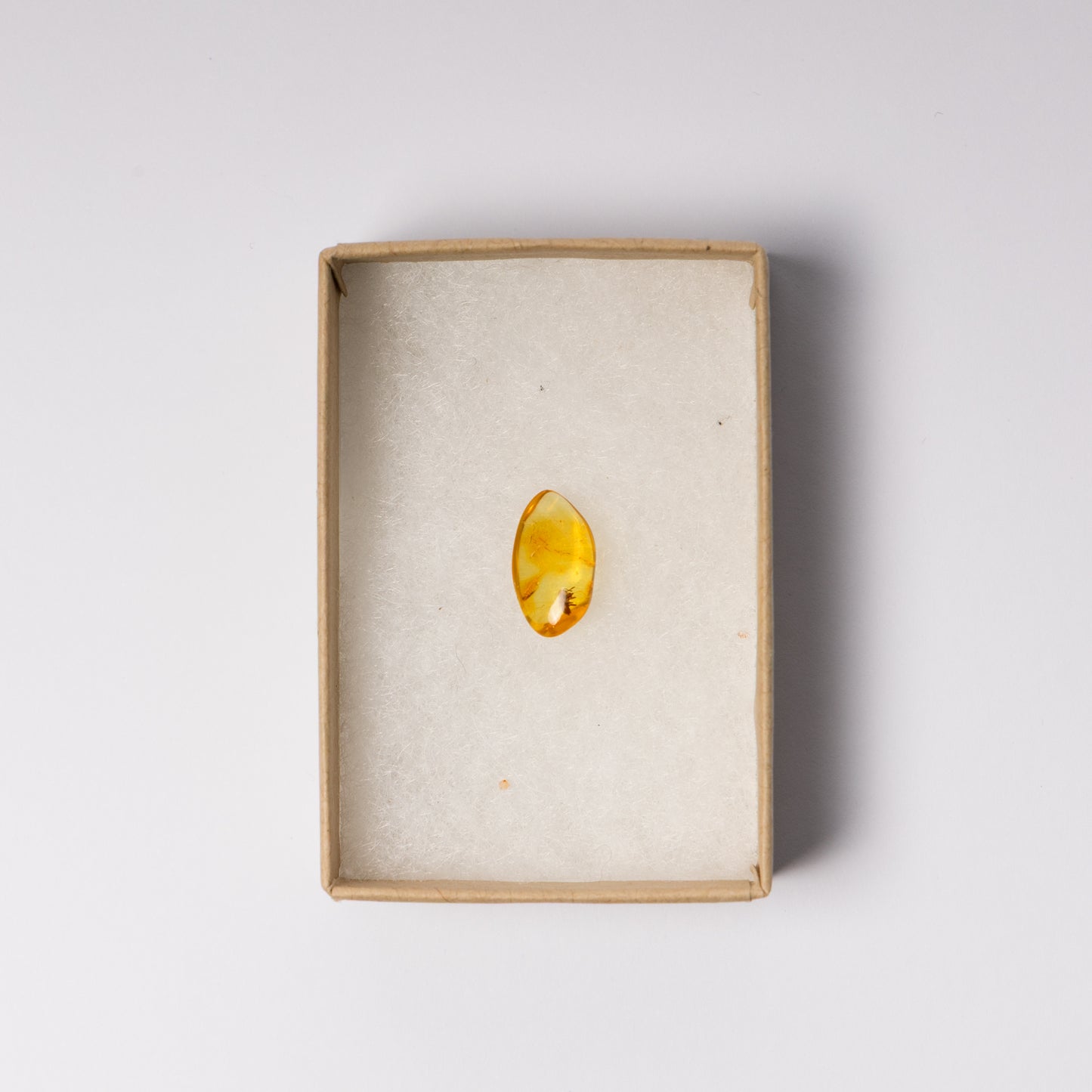 Baltic Amber with Insect Inclusion