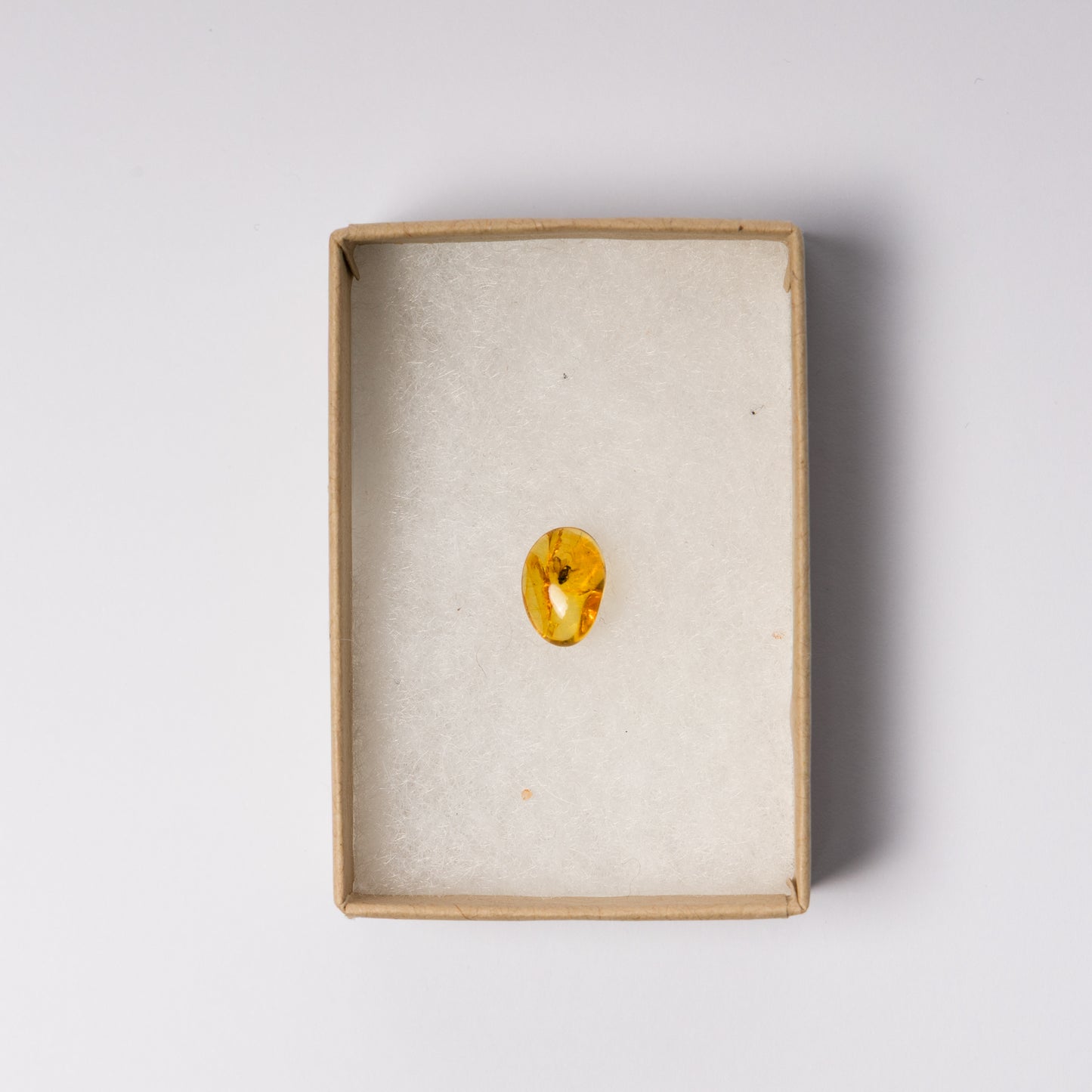 Baltic Amber with Insect Inclusion