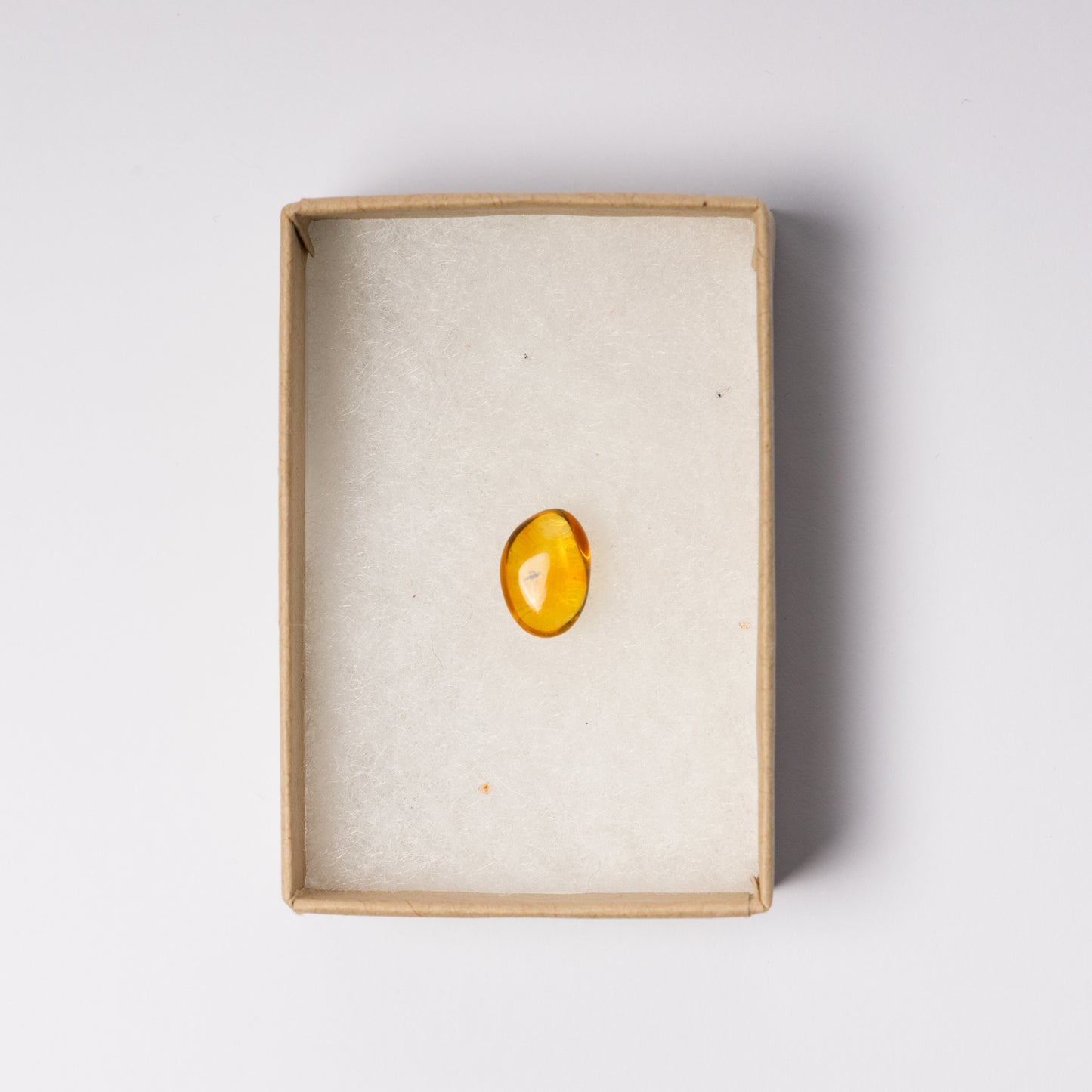 Baltic Amber with Insect Inclusion