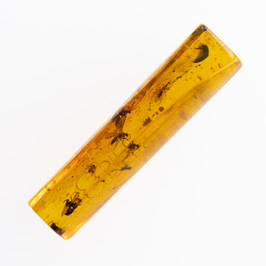 Baltic Amber with Multiple Insect Inclusions