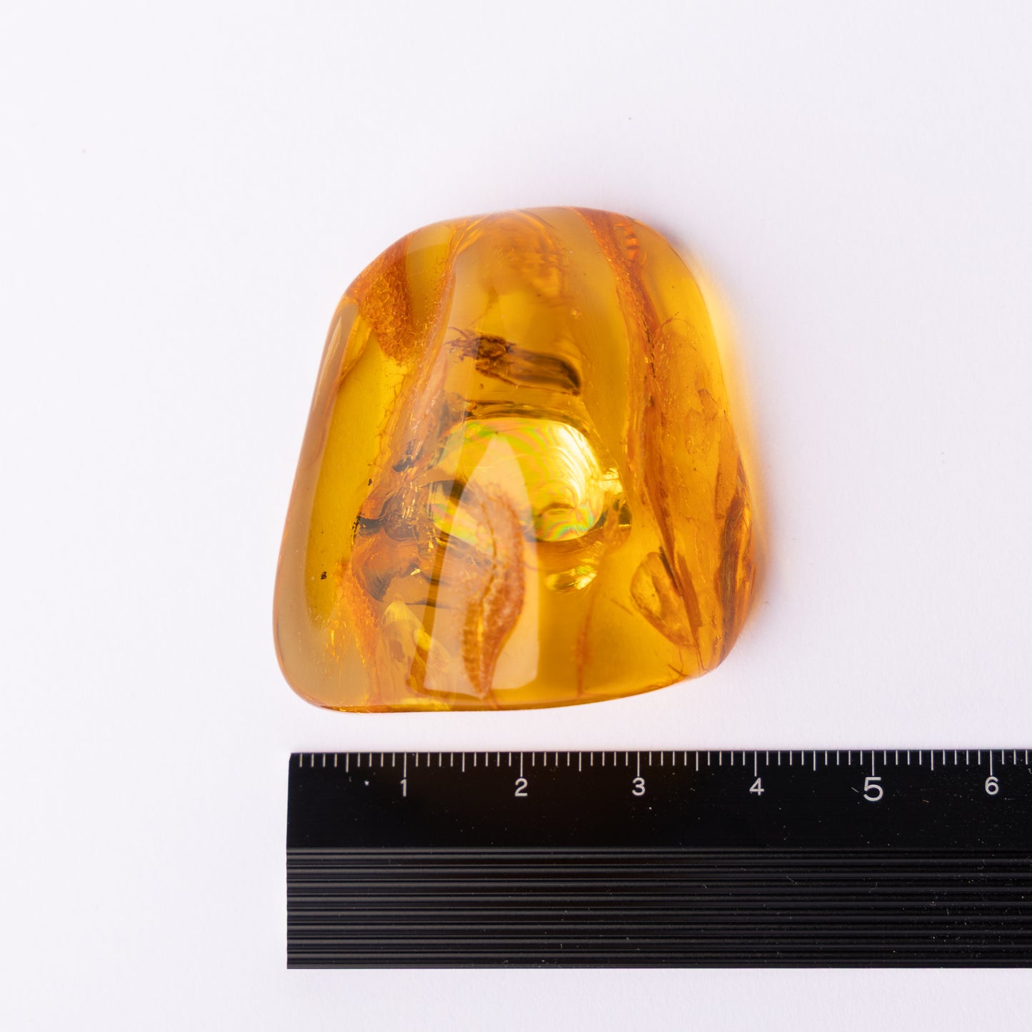 Large Baltic Amber Specimen with Spider Inclusion