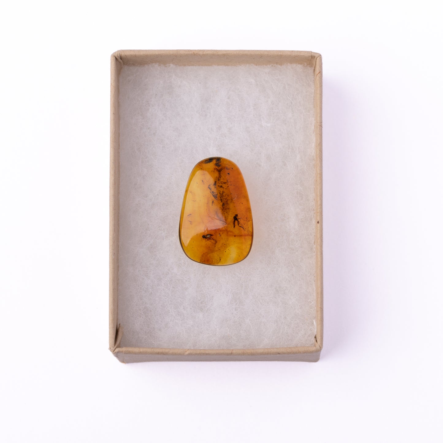 Baltic Amber with Winged Insect Inclusion
