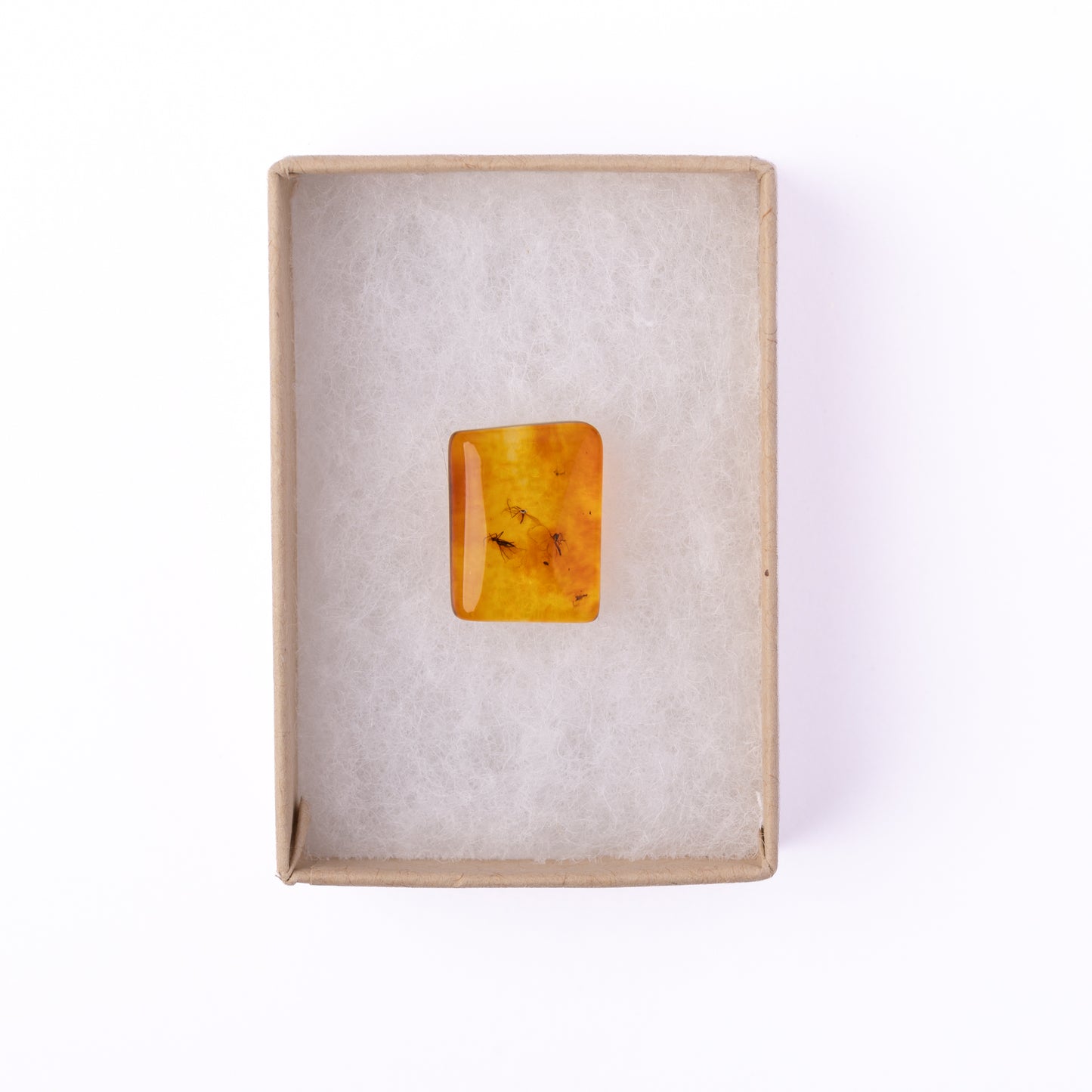 Baltic Amber with Winged Insect Inclusions