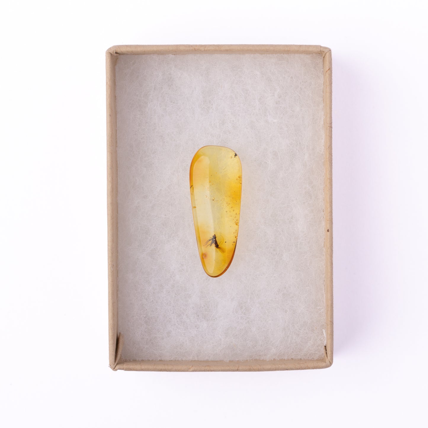 Baltic Amber with Winged Insect Inclusion