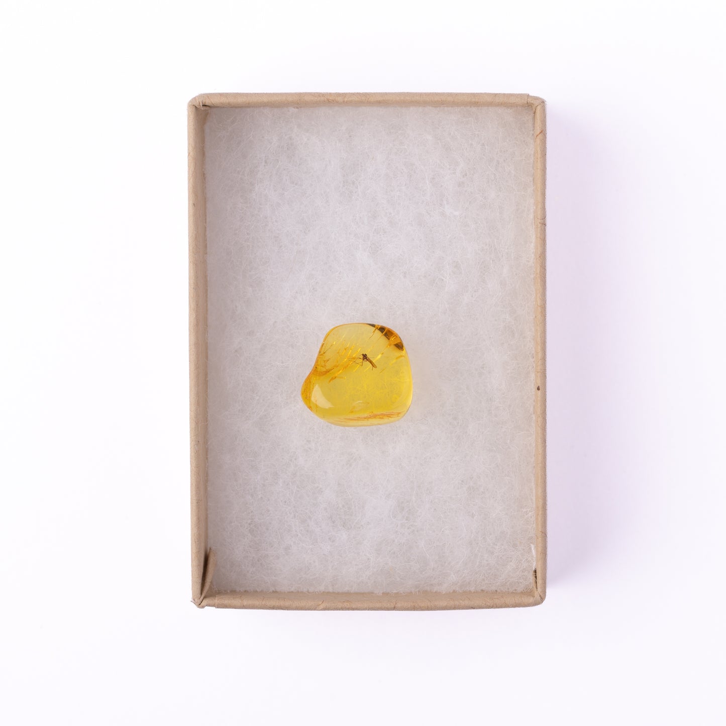 Baltic Amber with Winged Insect Inclusion