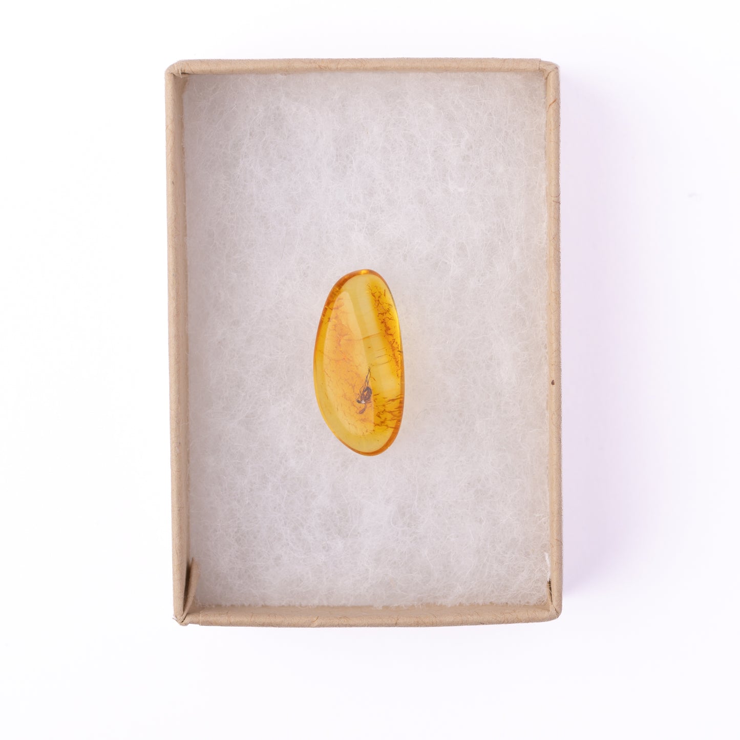 Baltic Amber with Winged Insect Inclusion
