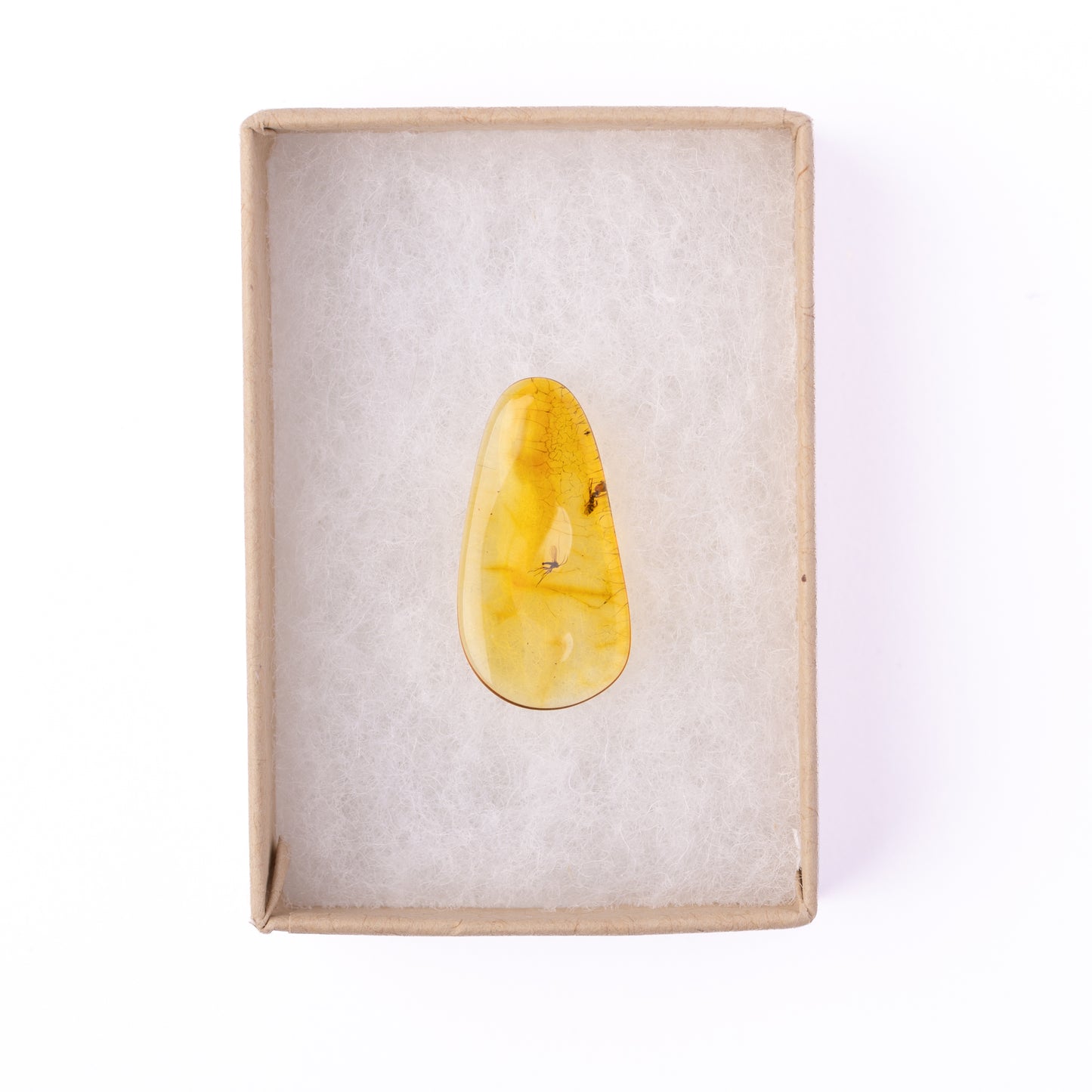 Baltic Amber with Winged Insect Inclusion