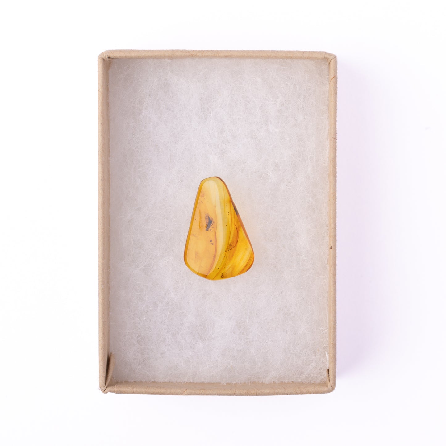 Baltic Amber with Winged Insect Inclusion