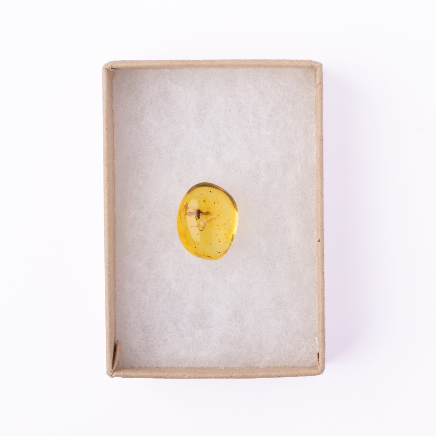 Baltic Amber with Winged Insect Inclusion