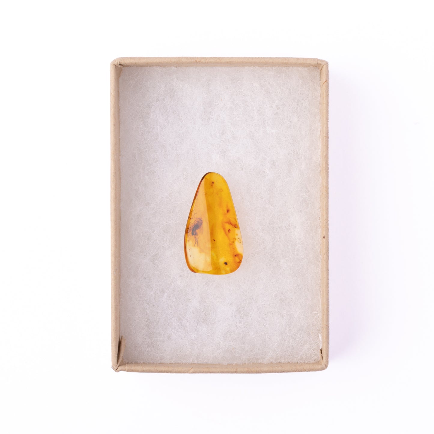 Baltic Amber with Winged Insect Inclusion
