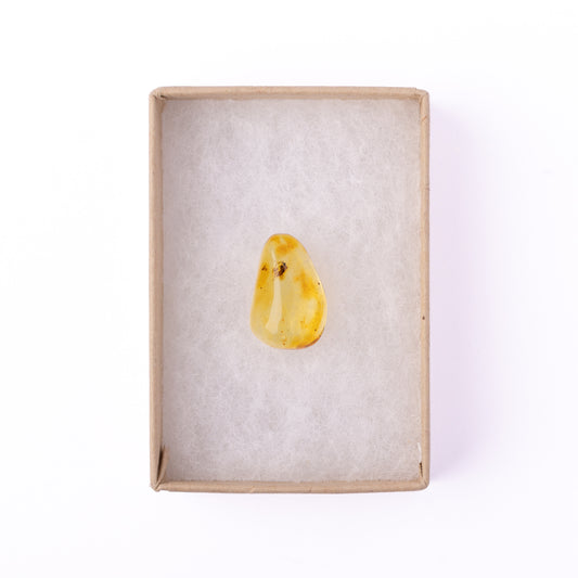 Baltic Amber with Winged Insect Inclusion
