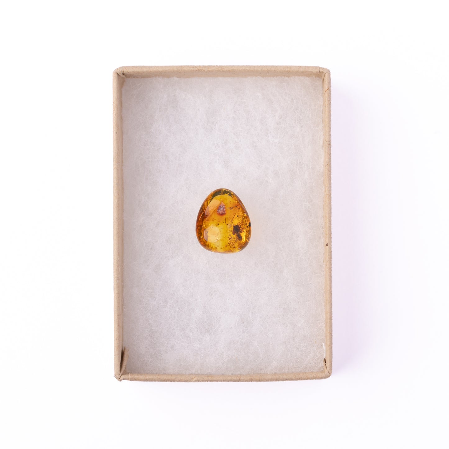 Baltic Amber with Winged Insect Inclusion