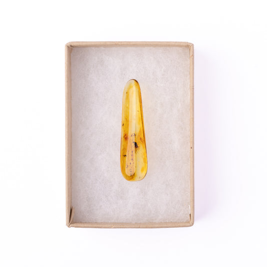 Baltic Amber with Winged Insect Inclusion