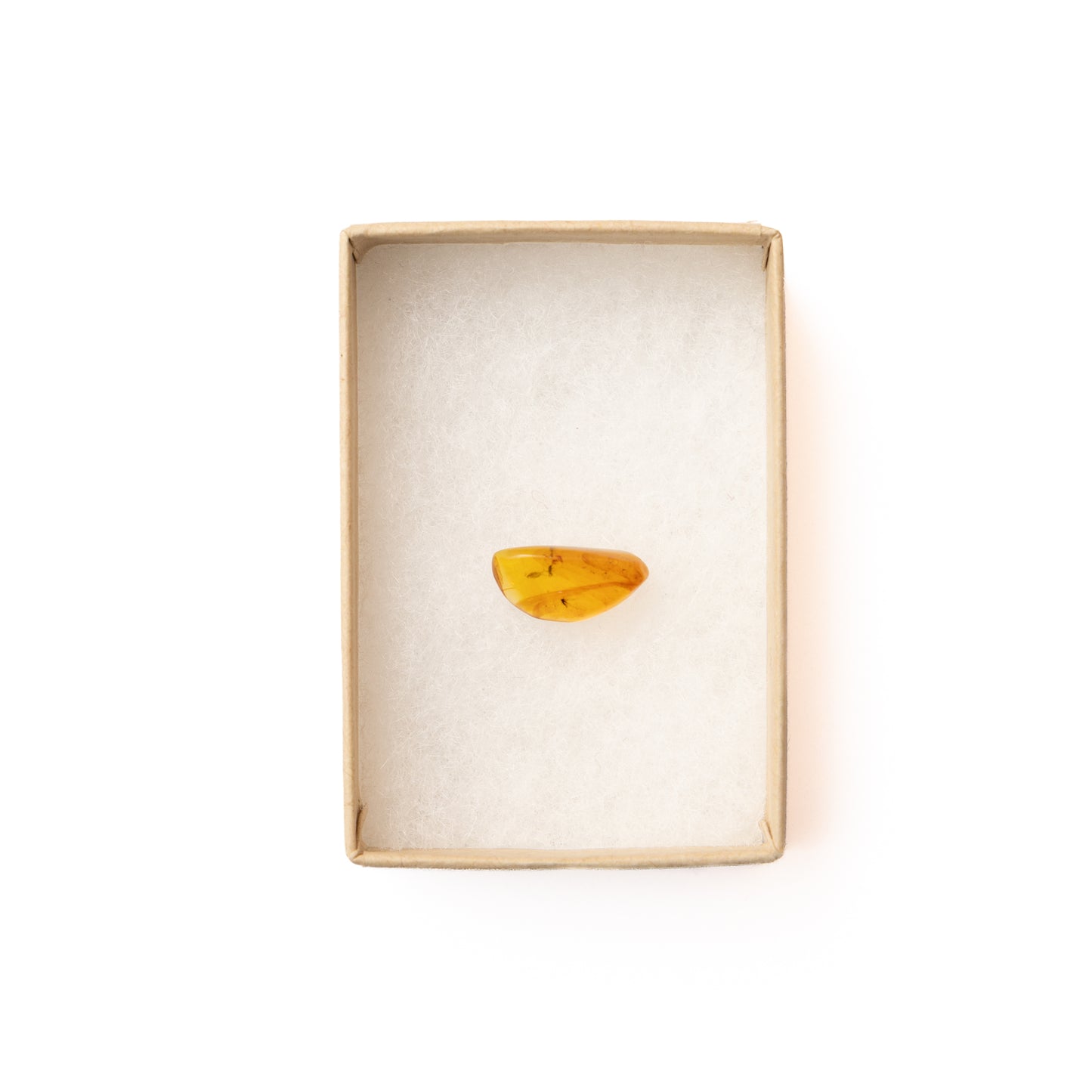 Burmese Amber with Double Inclusion