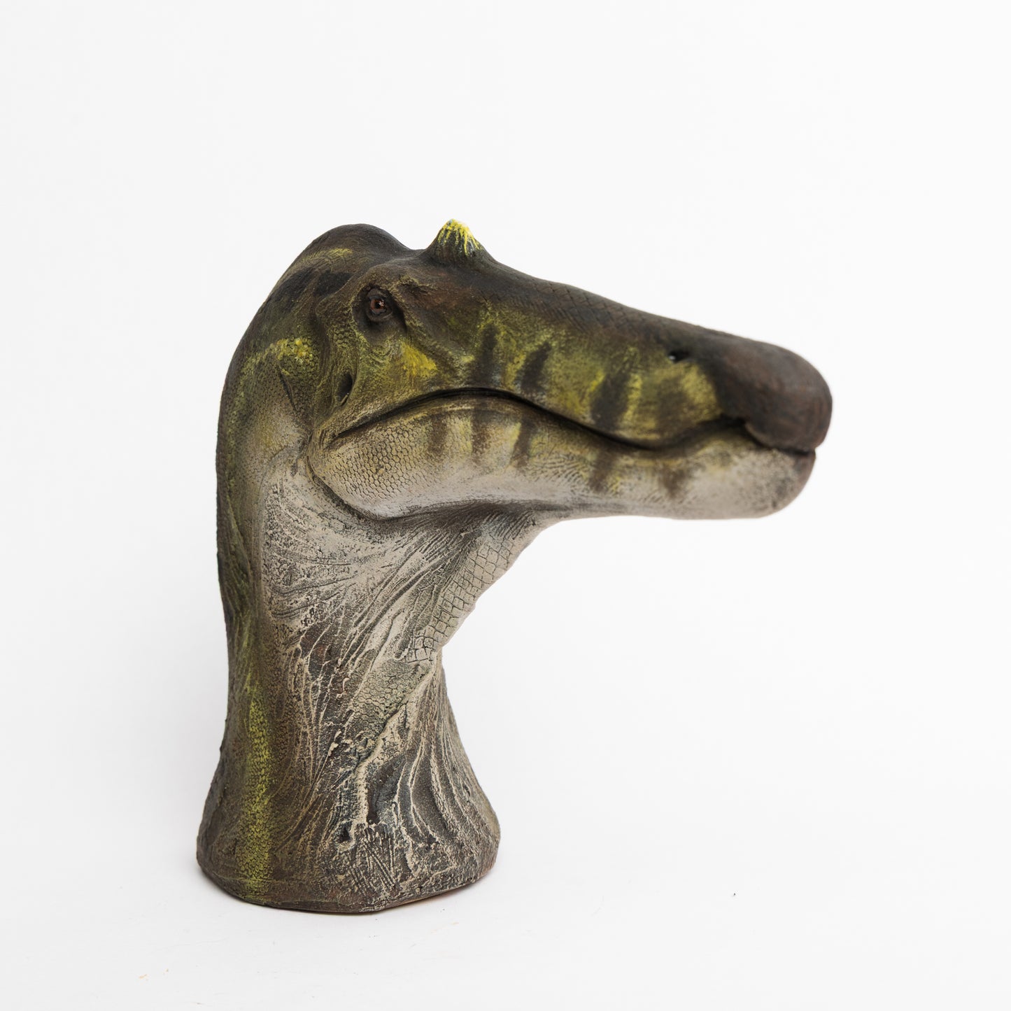 Artistic Interpretation of Ceratosuchops by Karen Fawcett