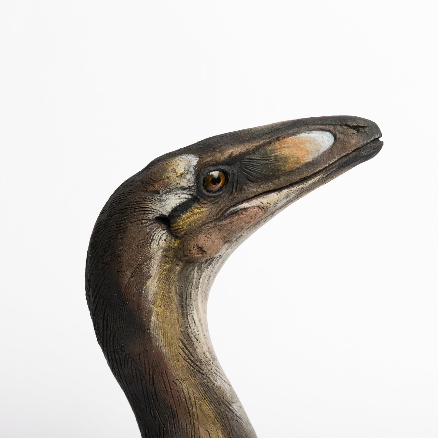 Artistic Interpretation of Compsognathus by Karen Fawcett