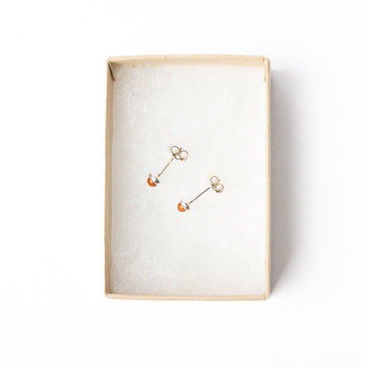 Amber Earrings (Studs)