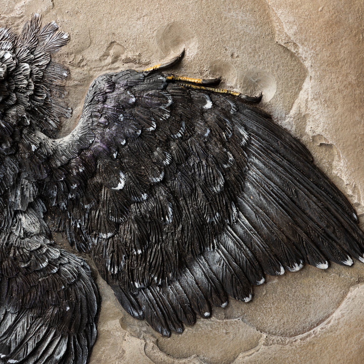 Artistic Interpretation of Archaeopteryx by Karen Fawcett