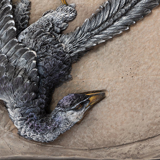 Artistic Interpretation of Archaeopteryx (Eichstätt Specimen) by Karen Fawcett