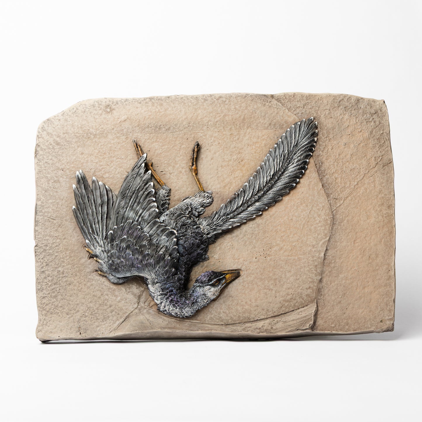 Artistic Interpretation of Archaeopteryx (Eichstätt Specimen) by Karen Fawcett