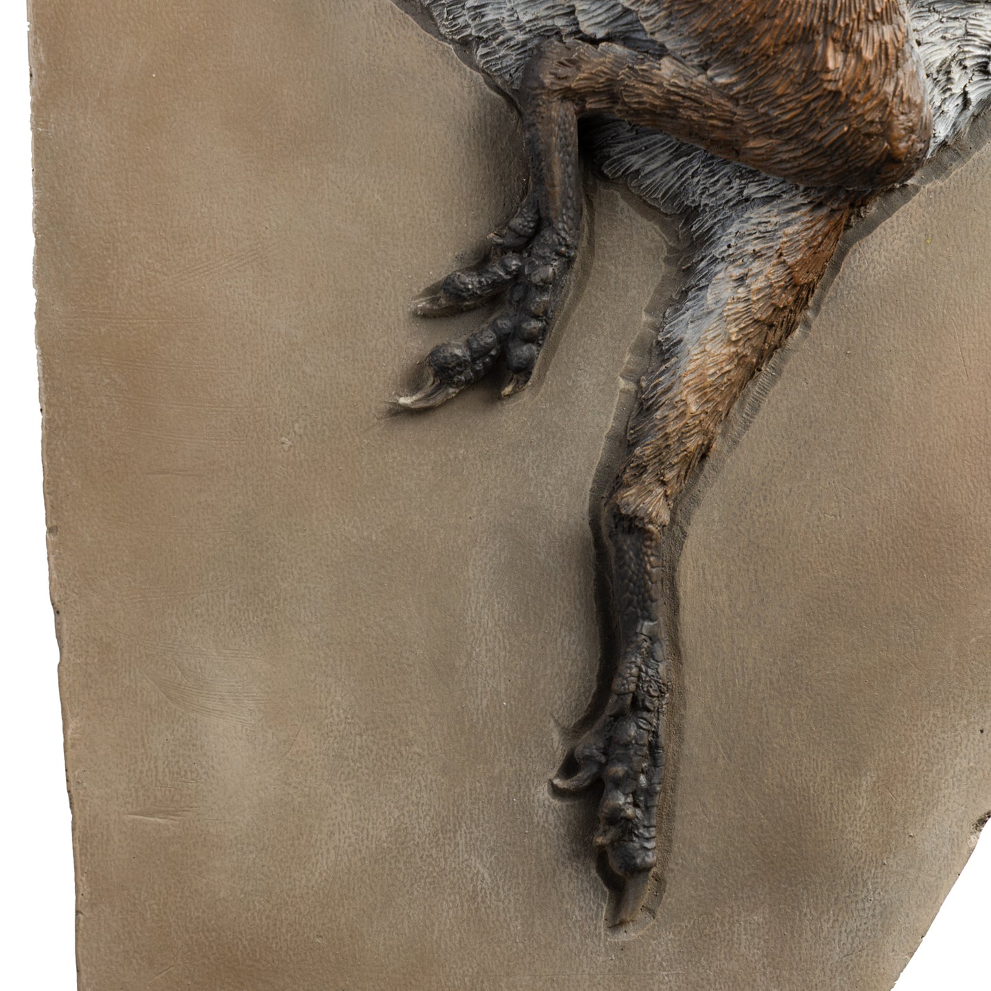 Artistic Interpretation of Sinosauropteryx by Karen Fawcett