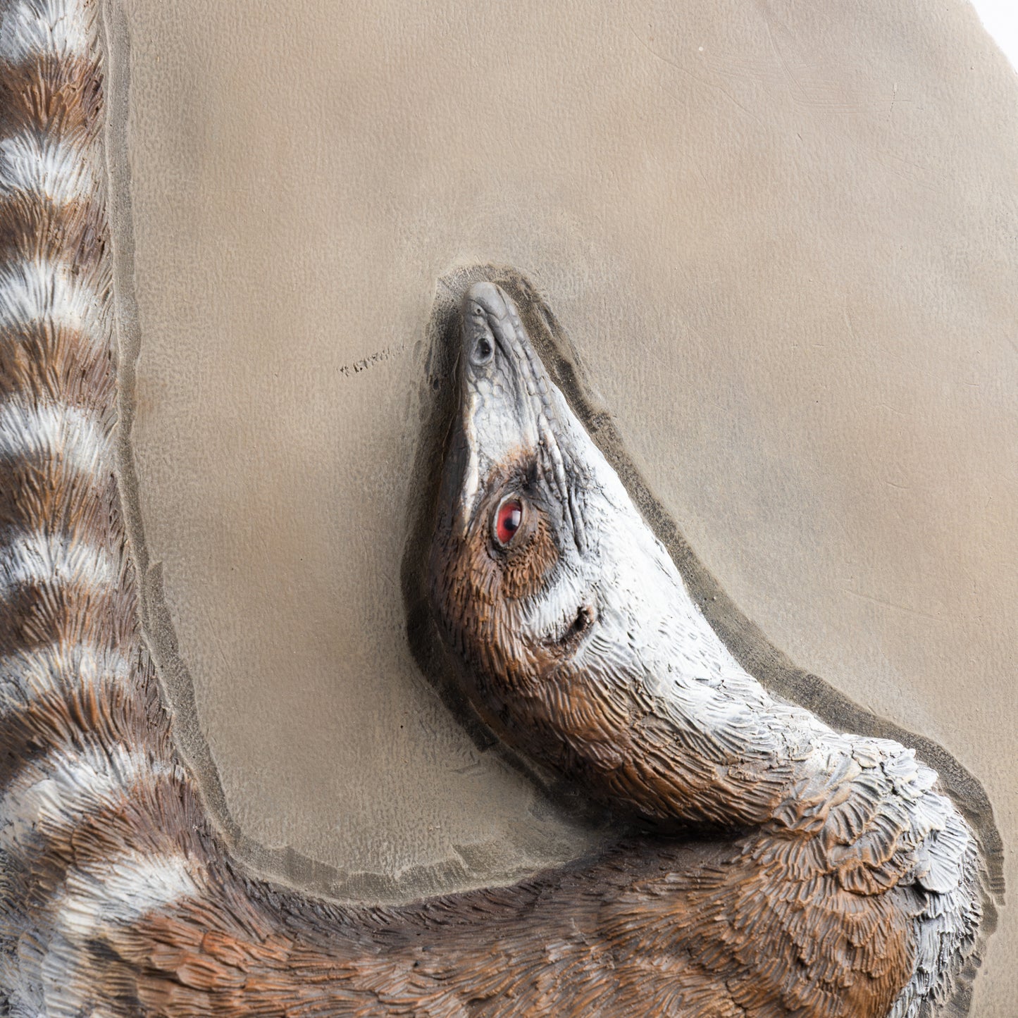 Artistic Interpretation of Sinosauropteryx by Karen Fawcett