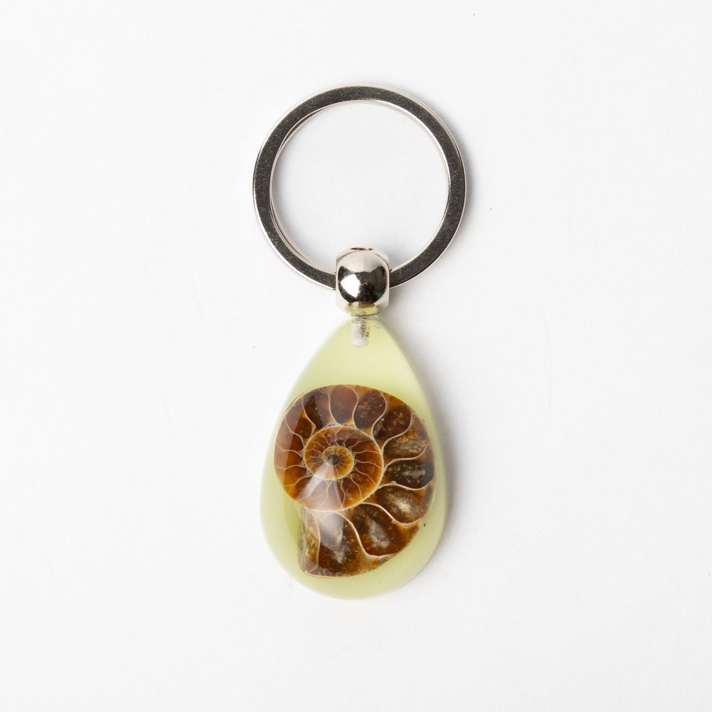 Cleoniceras sp. Ammonite Keyring