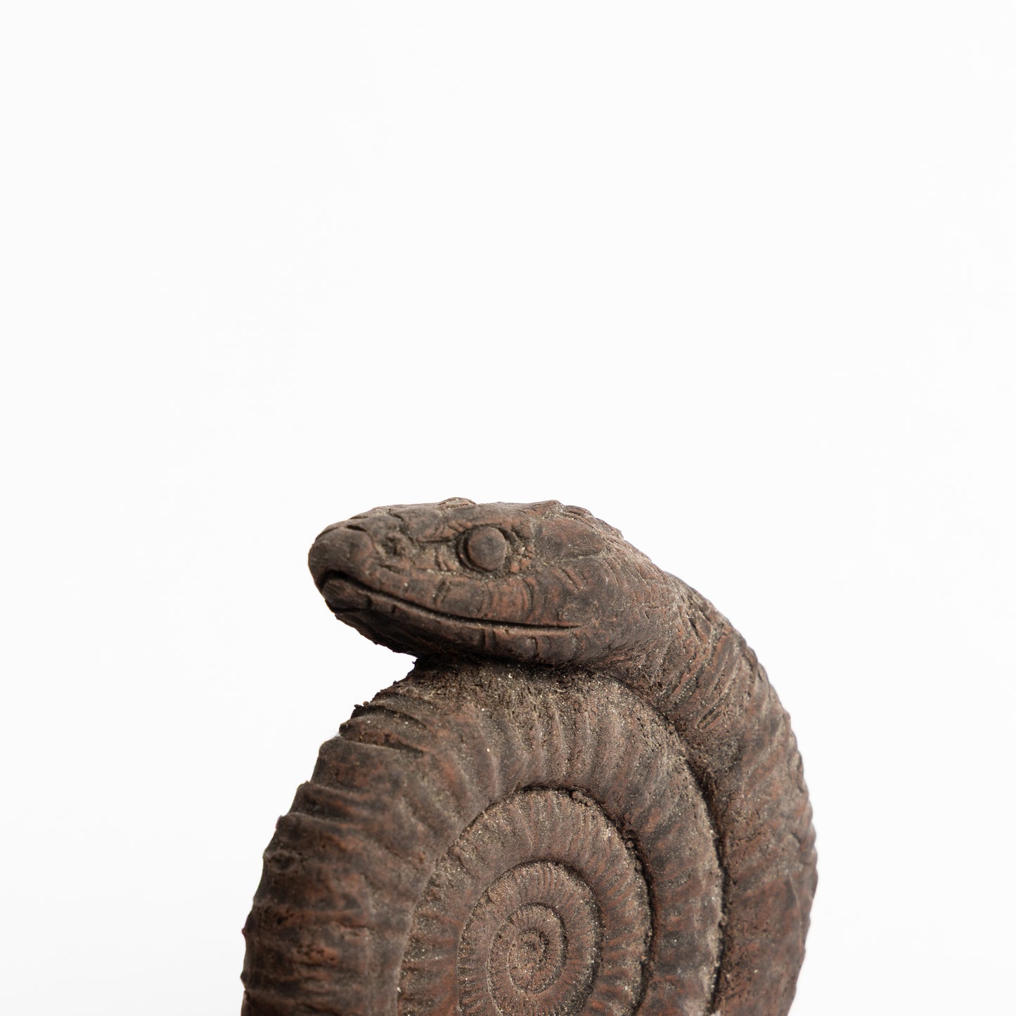 Artistic Interpretation of a Snake Stone (Ammonite) by Karen Fawcett