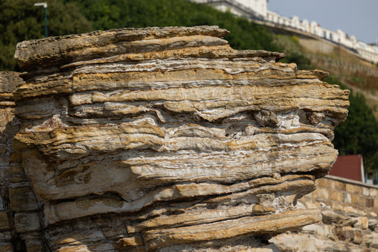 Dinosaurs? On the Yorkshire Coast?!
