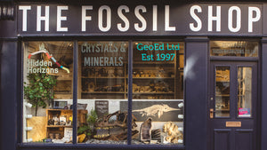 The Fossil Shop – Who are we? And why should you care?
